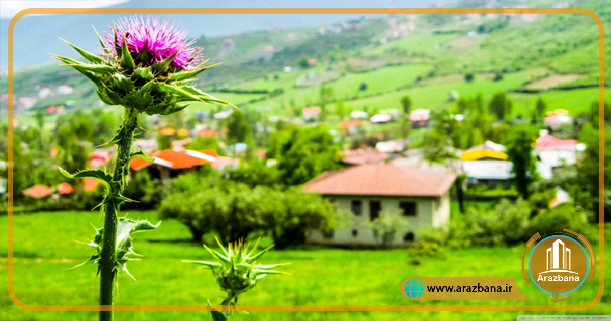 بازسازی ویلای قدیمی